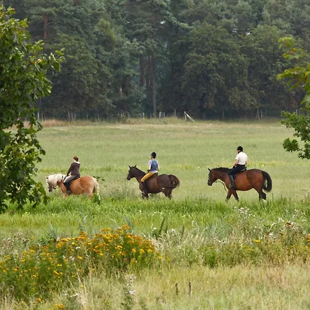Beech Fleesensee Aparthotel Göhren-Lebbin