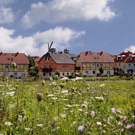 Beech Fleesensee Göhren-Lebbin