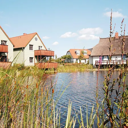 Beech Fleesensee Göhren-Lebbin