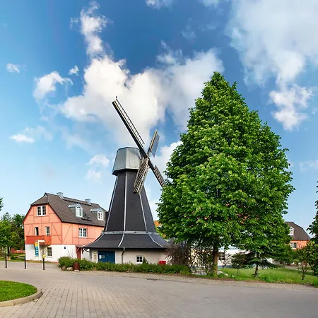 Beech Fleesensee Göhren-Lebbin