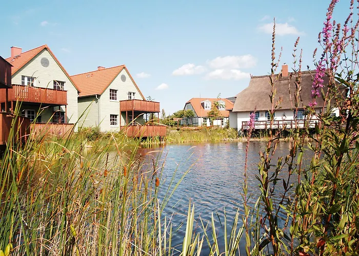 Beech Fleesensee Goehren-Lebbin